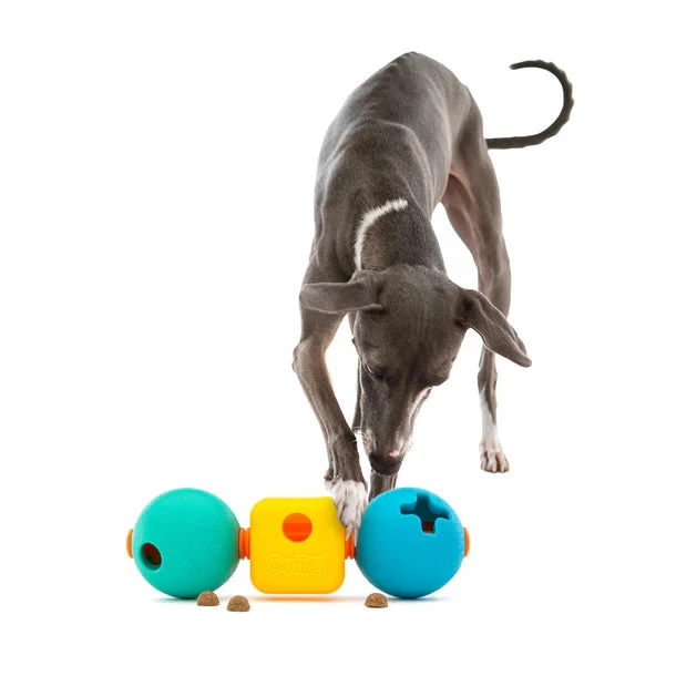 Guru Treat Trio 2 Guru Treat Trio - Image 2