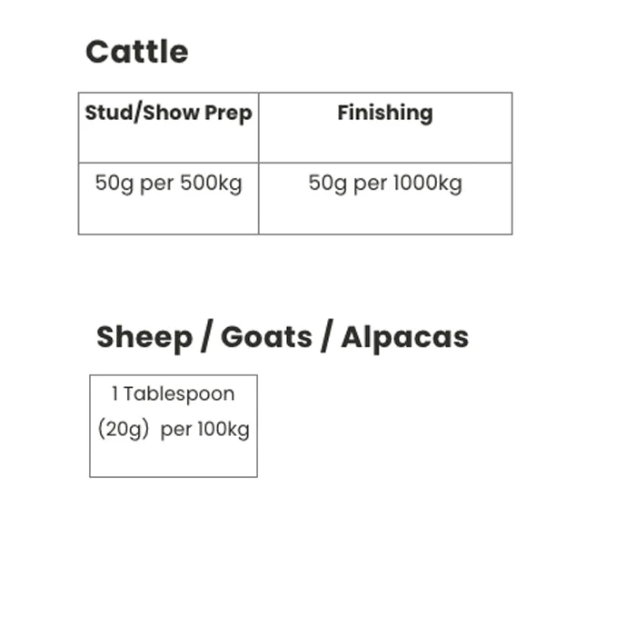 TuffRock Super-Tuff With Kakadu Plum 4 TuffRock Super-Tuff With Kakadu Plum - Image 4