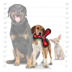 Tuffy JR Boomerang -Vetn Pet Direct Store tuffy JR boomerang sizing