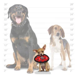 Tuffy JR Odd Ball -Vetn Pet Direct Store tuffy JR odd sizing