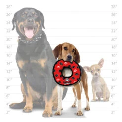 Tuffy JR Ring -Vetn Pet Direct Store tuffy jr ring sizing