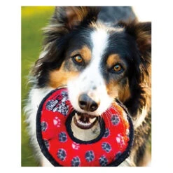 Tuffy JR Ring -Vetn Pet Direct Store tuffy jr ring with dog