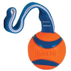 Chuckit! Ultra Tug -Vetn Pet Direct Store ultra tug L