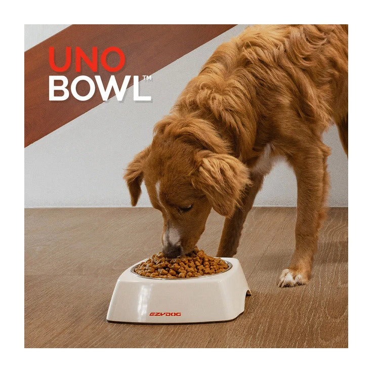 EzyDog Uno Bowl 2 EzyDog Uno Bowl - Image 2