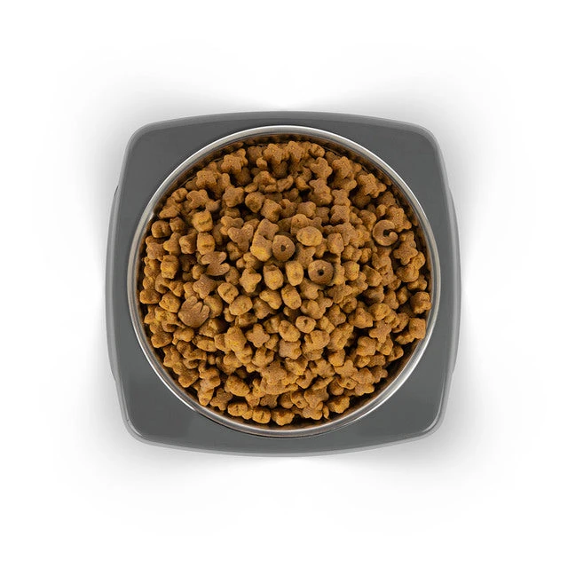 EzyDog Uno Bowl 3 EzyDog Uno Bowl - Image 3