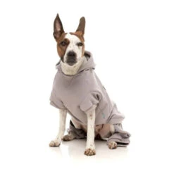 FuzzYard Urban Tracksuit -Vetn Pet Direct Store urban tracksuit 5