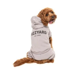 FuzzYard Urban Tracksuit -Vetn Pet Direct Store urban tracksuit 6