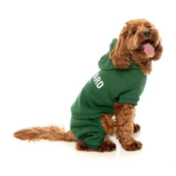 FuzzYard Urban Tracksuit -Vetn Pet Direct Store urban tracksuoit 4