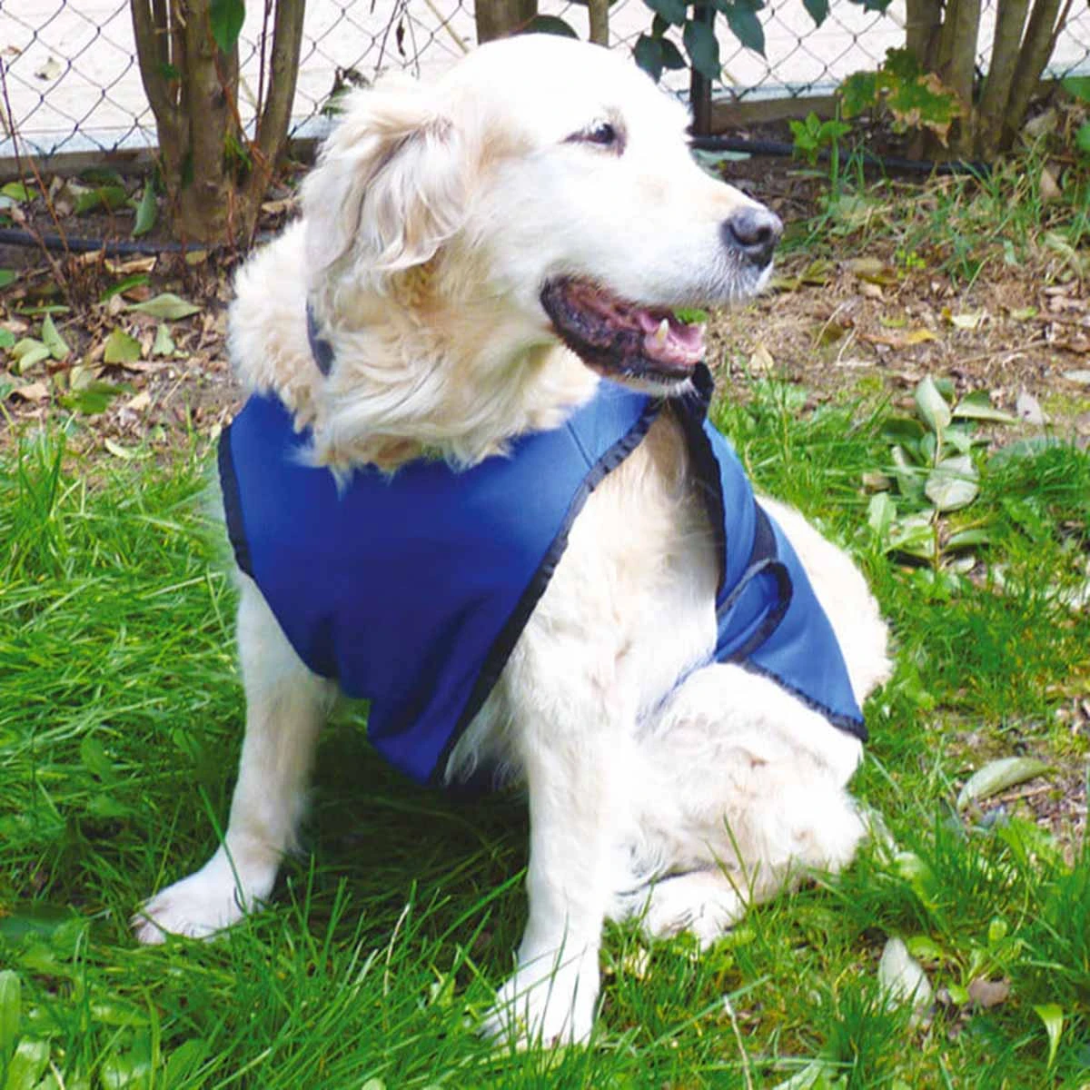 Vetopop Dog Cooling Vest 3 Vetopop Dog Cooling Vest - Image 3