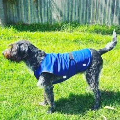 Vetopop Dog Cooling Vest 12 Vetopop Dog Cooling Vest -Vetn Pet Direct Store vetopop cooling vest stand