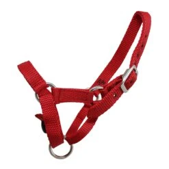 Webbing Alpaca Halter