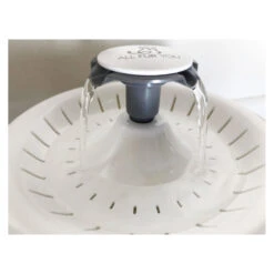 All Fur You Whisper Water Fountain 12 All Fur You Whisper Water Fountain -Vetn Pet Direct Store whisper water fountain media 05