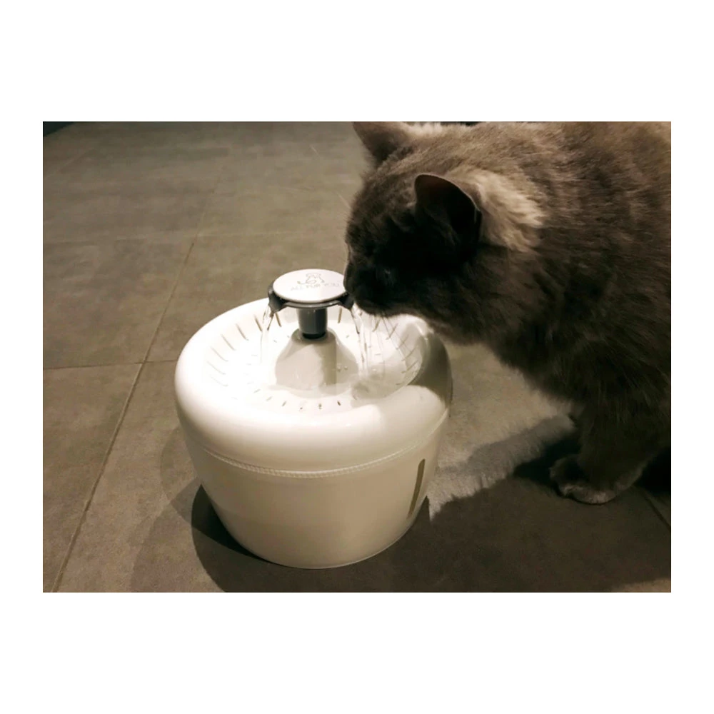 All Fur You Whisper Water Fountain 7 All Fur You Whisper Water Fountain - Image 7
