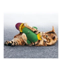 KONG Wrangler Cactus Cat Toy -Vetn Pet Direct Store wrangler cactus with cat