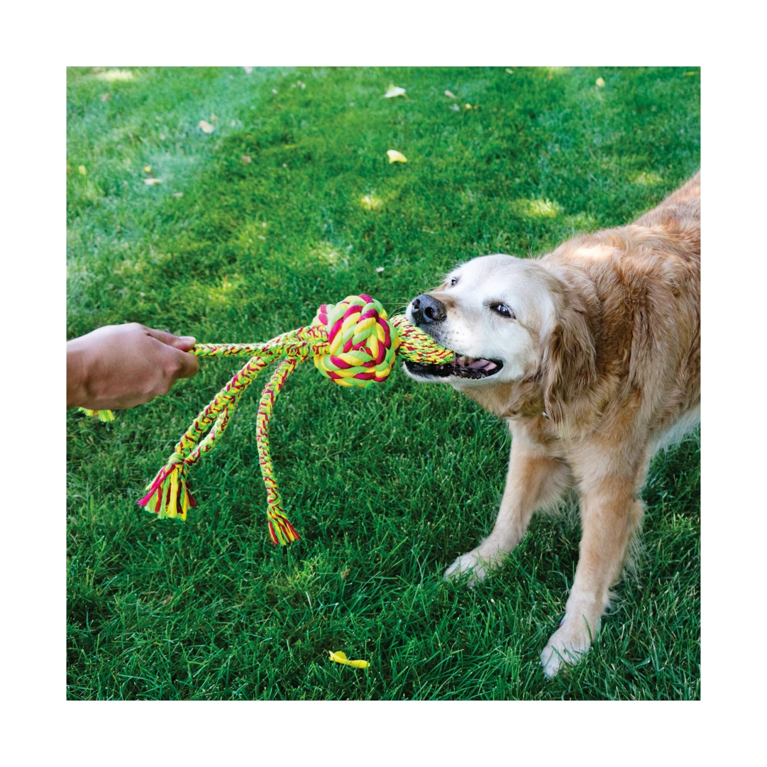 KONG Wubba Weaves With Rope 3 KONG Wubba Weaves With Rope - Image 3