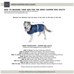ZeeZ Dapper Dog Coat - Mint Green 13 ZeeZ Dapper Dog Coat - Mint Green -Vetn Pet Direct Store zeez dapper coat sizing2 jpg