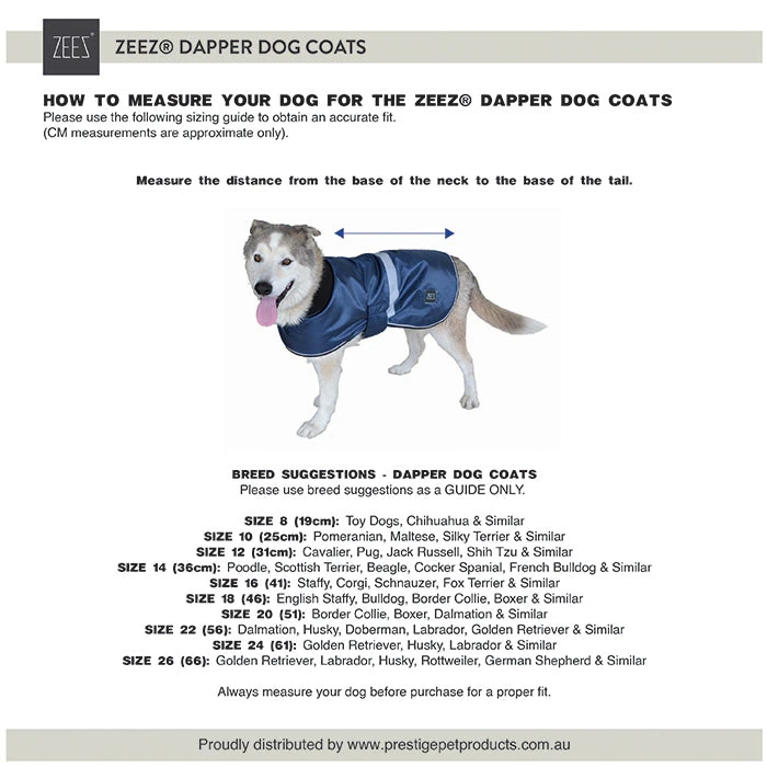 ZeeZ Dapper Dog Coat - Mint Green 7 ZeeZ Dapper Dog Coat - Mint Green - Image 7