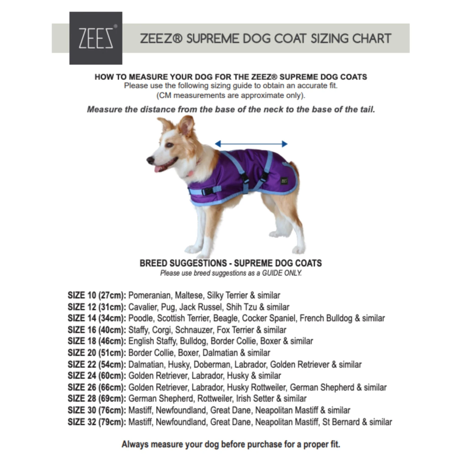 ZeeZ Supreme Dog Coat - Mint Green/Grey 9 ZeeZ Supreme Dog Coat - Mint Green/Grey - Image 9