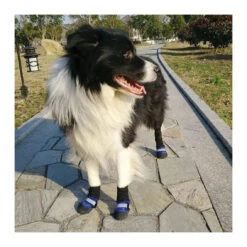 ZeeZ Waterproof Nylon Dog Boots - 4 Pack -Vetn Pet Direct Store zeez waterproof dog socks dog blue