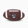 Zippy Paws SportsBallz - Football