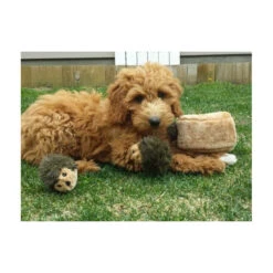 Zippy Paws Zippy Burrow - Hedgehog Den 6 Zippy Paws Zippy Burrow - Hedgehog Den -Vetn Pet Direct Store zippy paws hedgehog burrow 2