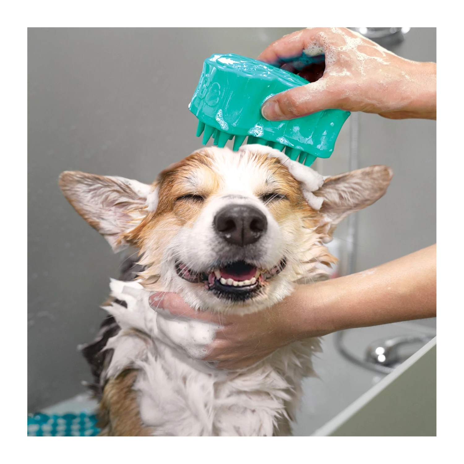 KONG ZoomGroom Bubbles 4 KONG ZoomGroom Bubbles - Image 4